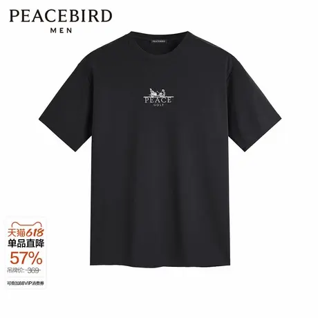 太平鸟男装T恤夏双面布凉感短袖潮男字母刺绣休闲百搭短袖上衣图片