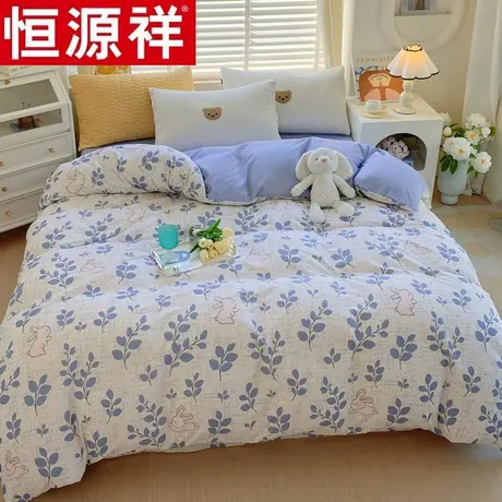 恒源祥AB版全棉磨毛被套单件秋冬加厚男女生单人学生宿舍纯棉被罩商品大图