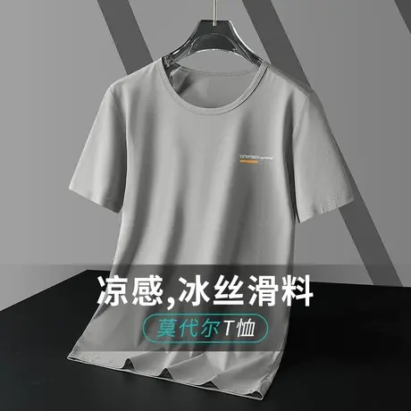 莫代尔短袖t恤男潮流ins冰丝凉感字母印花上衣服夏季半袖简约百搭商品大图