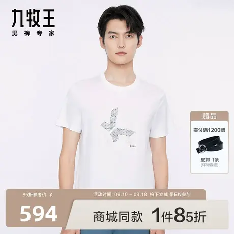[商场同款]九牧王男装JT2C20527短袖T恤23年春夏季新款舒适亲肤EN图片