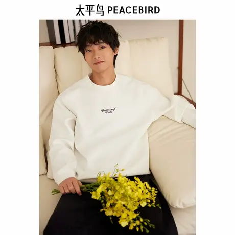 太平鸟男装 春季新款圆领套头卫衣男B1CRE1230图片