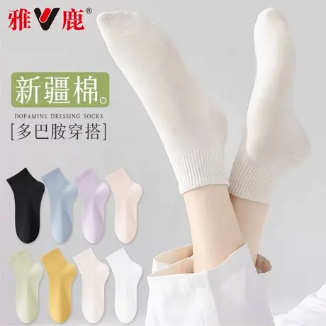 袜子女士纯棉浅口短袜百搭棉袜秋季薄款透气中筒袜秋天运动女袜TC商品大图