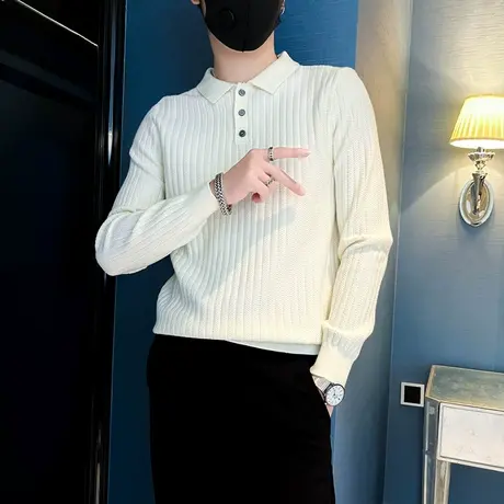 纯色条纹毛衣男秋冬季2023新款休闲简约POLO衫线衣ins内搭针织衫商品大图