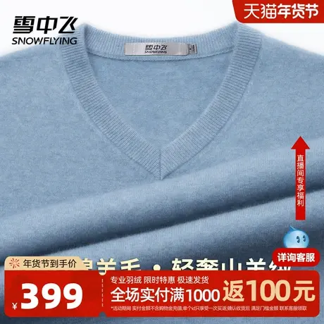 雪中飞【30山羊绒 黄金羊毛】高档V领羊绒衫男秋冬温暖百搭毛衣W商品大图