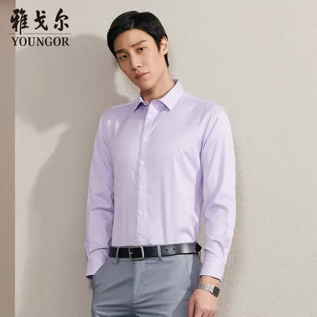 【棉弹条纹DP免烫】D系雅戈尔衬衫夏季商务休闲修身长袖衬衫衬衣商品大图