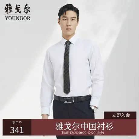 【凉感衬衫】D系雅戈尔衬衫春季商务休闲棉弹DP免烫长袖衬衫商品大图