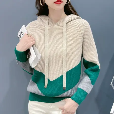 连帽毛衣女外穿秋装2023卫衣外套秋季宽松针织打底衫宽松加厚洋气商品大图