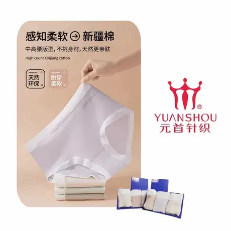 元首女士【三条装】无痕舒适柔软亲肤薄款中高腰抑菌内裤商品大图