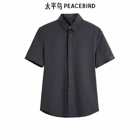 太平鸟男装季舒适修身休闲衬衫 B1CCE2323图片