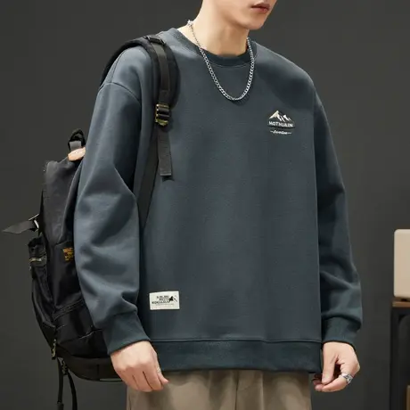 春秋款内搭重磅痞帅长袖上衣秋冬季男生新款宽松休闲打底圆领卫衣商品大图