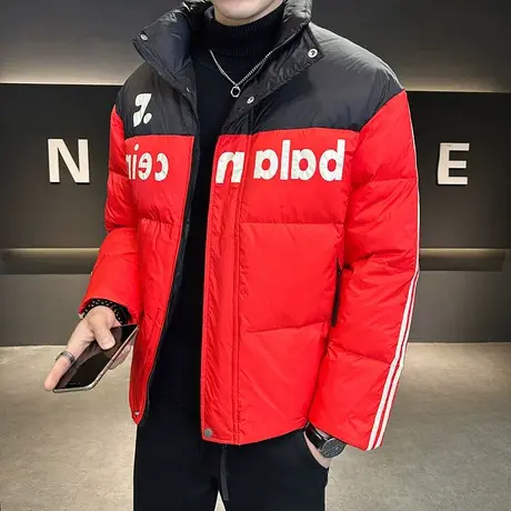 2023冬季男士新款立领时尚短款字母印花羽绒服面包服青年加厚棉衣图片