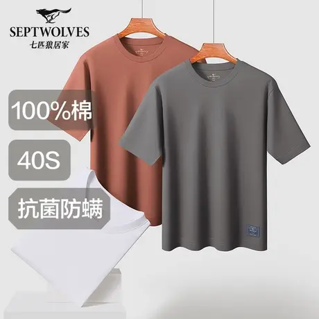七匹狼短袖T恤男士2025新款纯棉夏季100%全棉体恤薄款宽松汗衫男商品大图