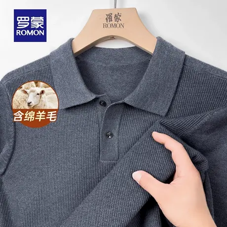 【含绵羊毛】罗蒙男士长袖翻领针织衫2025秋季新款百搭打底毛衣男商品大图