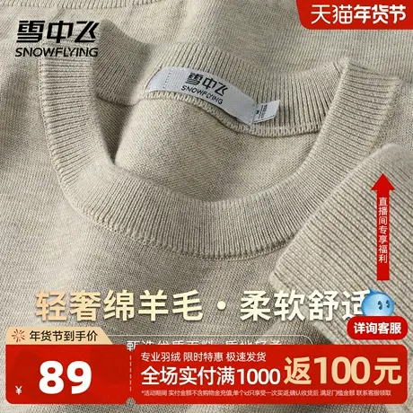 雪中飞【含绵羊毛】25秋冬时尚休闲舒适纯色圆领长袖男式针织衫W图片
