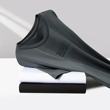 短袖t恤男士夏季薄款中老年人爸爸装圆领弹力运动半袖体恤上衣服商品大图