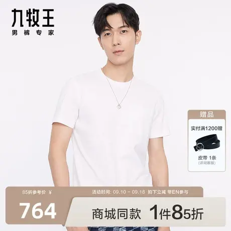[商场同款]九牧王男装JT2C21217短袖T恤23年春夏新款时尚舒爽EN图片