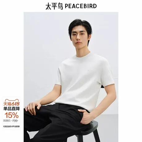 【商场同款】太平鸟男装T恤25夏新款修身字母毛套衫潮 B1EEF2232图片