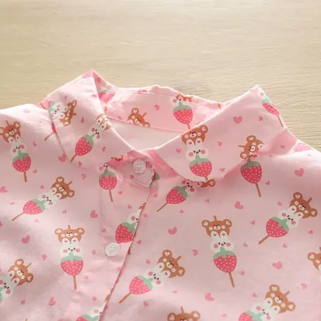 秋季日系文艺小清新印花纯棉长袖衬衫女学生宽松休闲百搭打底上衣商品大图