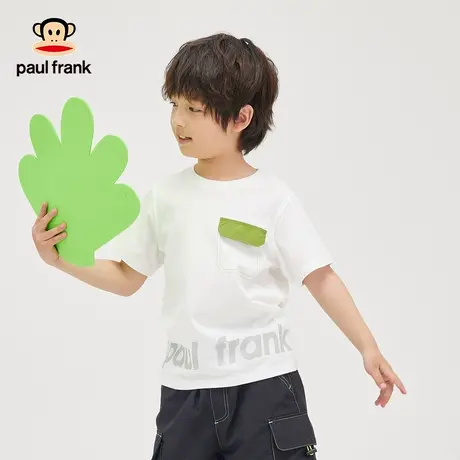 大嘴猴童装男童短袖t恤2023年夏季新品半袖中大儿童纯棉上衣体恤商品大图