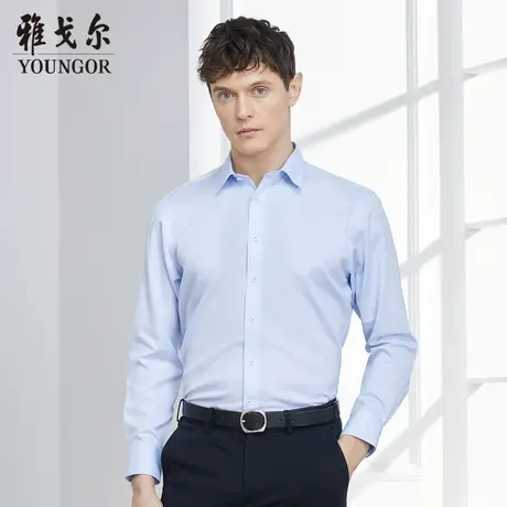 雅戈尔奥莱 秋季长袖衬衫男士纯棉浅蓝条纹免烫寸衣男商品大图