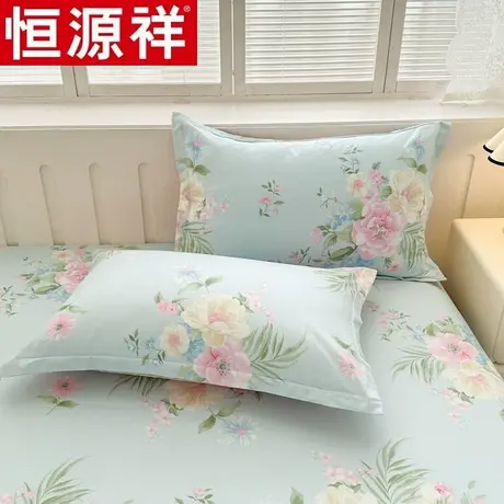恒源祥全棉印花枕套成人枕头套48x74cm单人学生纯棉枕芯套一对装商品大图