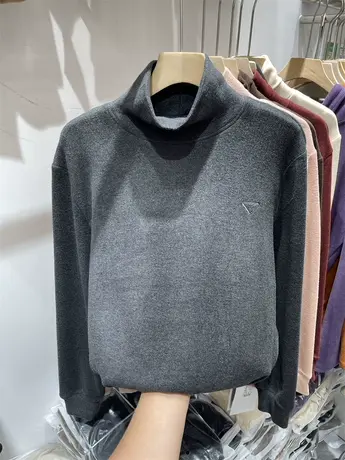 欧货高领刺绣三角双面德绒保暖卫衣女2023秋冬新款宽松大版上衣潮图片