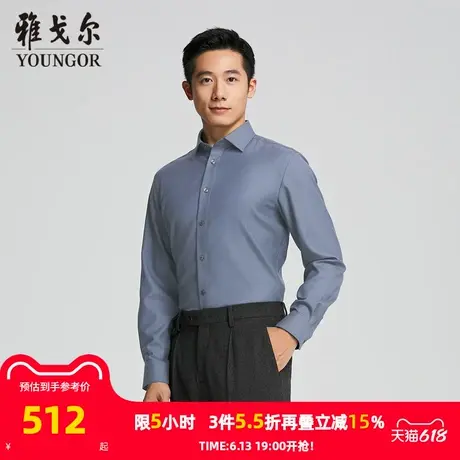 【商场同款】雅戈尔男士长袖衬衫春秋新款官方商务休闲长袖衬衫男图片