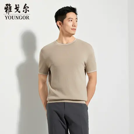 【商场同款】雅戈尔男士短袖T恤夏季新款官方商务休闲短袖T恤男图片