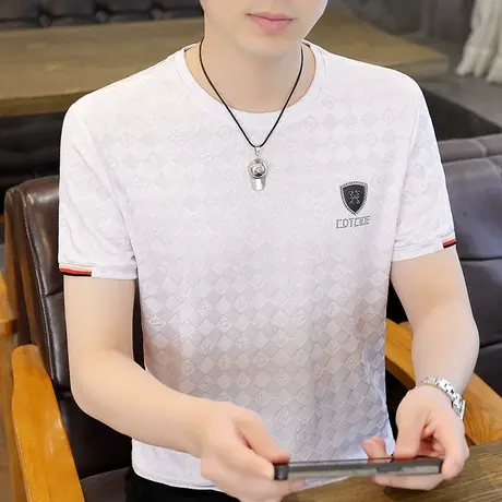 短袖T恤男夏季冰丝青年半袖夏装体恤凉感潮牌半袖男款薄款上衣服商品大图