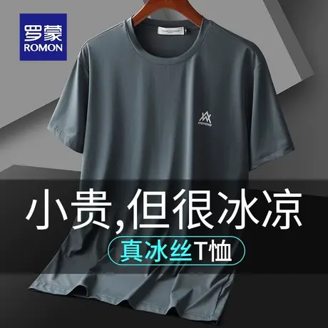 罗蒙短袖T恤夏季冰丝网眼速干男士宽松薄款运动体恤爸爸圆领上衣t图片