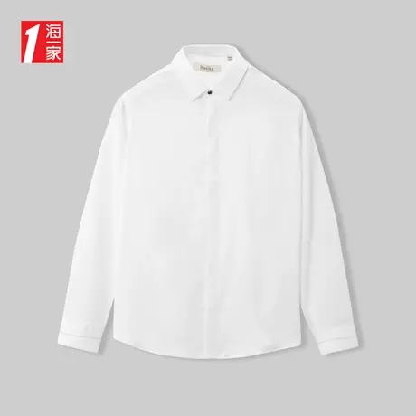 海一家商务正装长衬2023秋季新款简约尖领职业中年男士长袖衬衫图片