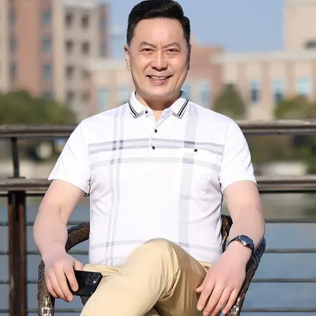 夏季男士短袖t恤中老年半袖体恤polo汗衫薄款白色翻领格子爸爸装商品大图