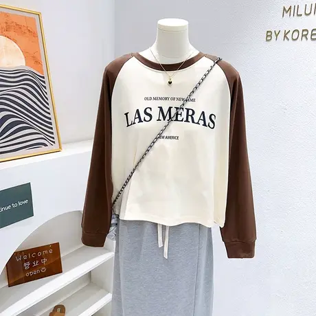 小个子显高穿搭~韩代同款秋季复古美式字母拼色薄款卫衣长袖上衣商品大图