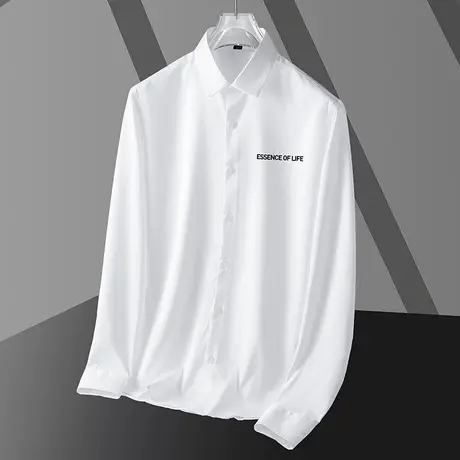 男士衬衫2024新款长袖秋冬季商务免烫白衬衣高级感轻熟风休闲寸衫图片