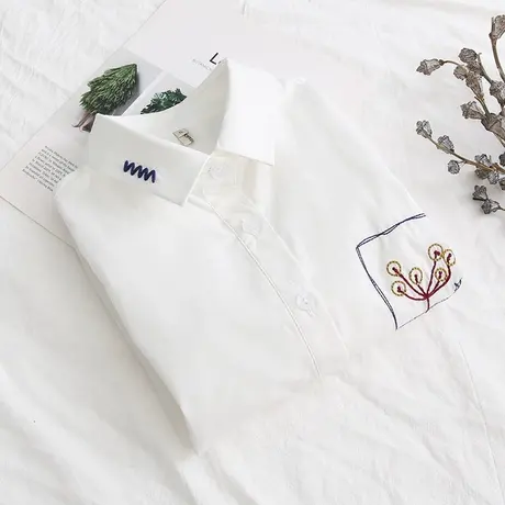 春款韩范纯棉白色衬衫女长袖学生百搭刺绣宽松小清新文艺打底衬衣图片