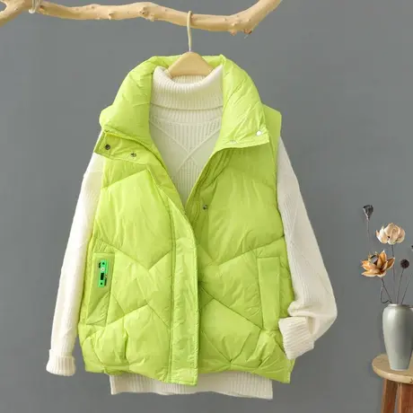 秋冬2023年新款立领无袖棉衣女韩版时尚羽绒棉棉马甲坎肩外套马夹商品大图