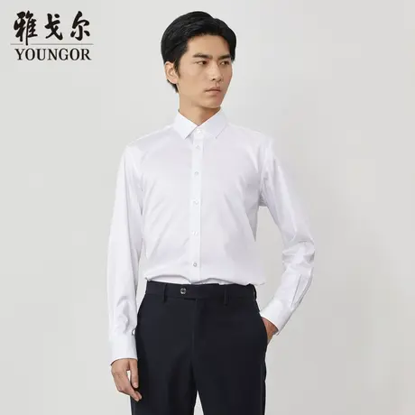 【商场同款】雅戈尔男士长袖衬衫秋季新款官方商务长袖衬衫S3283商品大图