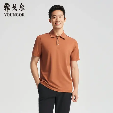 【商场同款】雅戈尔男士短袖T恤夏季新款官方商务休闲短袖POLO衫图片