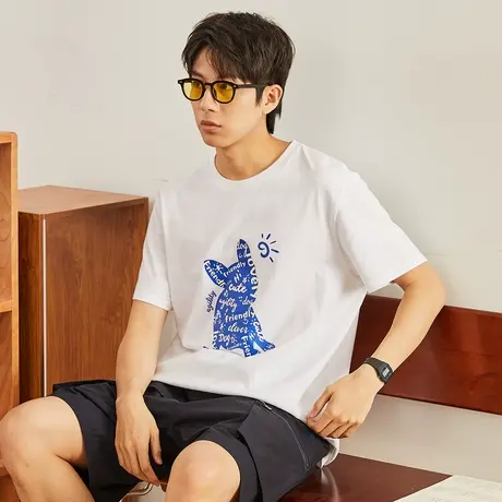 唐狮夏季短袖t恤男流行卡通印花舒适时尚潮酷休闲风上衣insT恤图片