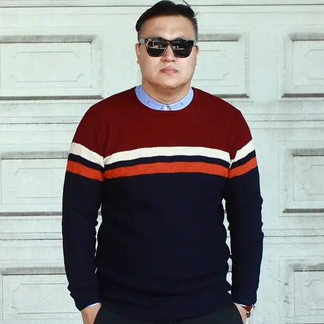 大依无忧新款条纹韩版特大号大码男装毛衣加肥加大圆领男士线衣图片