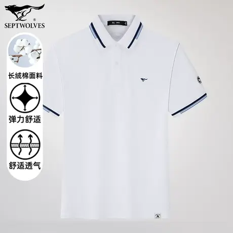 七匹狼狼族生活男士翻领短袖T恤夏季新款时尚商务休闲纯棉POLO衫图片