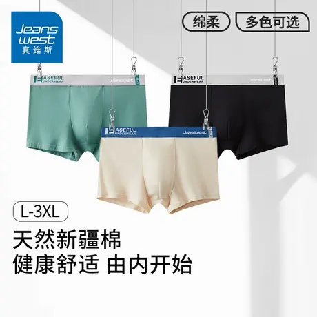 GV真维斯男士内裤纯棉抗菌平角裤青少年男装四角裤男生短裤头K商品大图