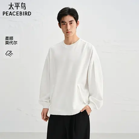 【商场同款】太平鸟男装卫衣25秋季新款圆领莫代尔上衣 B2CRF3D06图片
