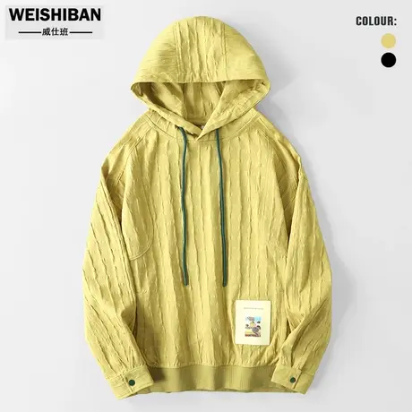 潮牌休闲肌理感连帽卫衣男款春秋款2024新款美式复古廓形宽松上衣图片