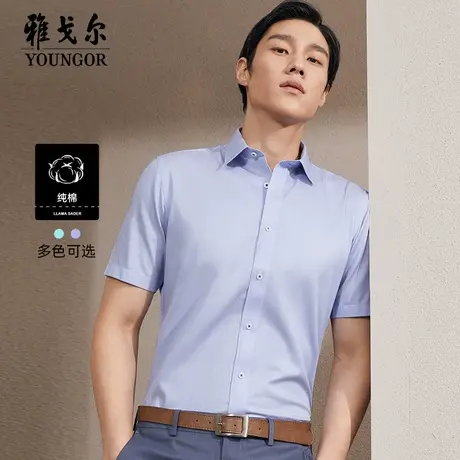 雅戈尔奥莱 男装易打理商务休闲纯棉短袖衬衫男衬衣条纹免烫商品大图