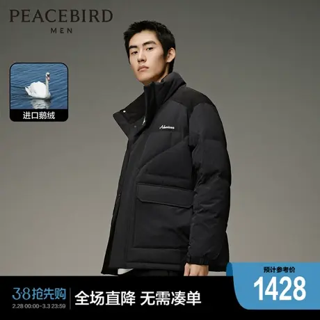 【商场同款】太平鸟男装 2023年冬季刺绣羽绒服鹅绒外套B2ACD4302商品大图