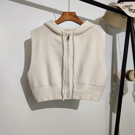 连帽针织马甲开衫女春秋新款韩版短款叠穿学院风无袖毛衣拉链外套商品大图