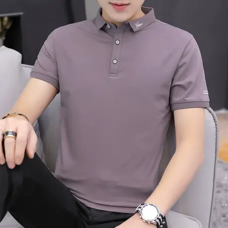 冰丝光棉polo衫男潮牌短袖t恤翻领刺绣保罗有领上衣服夏季半袖男商品大图