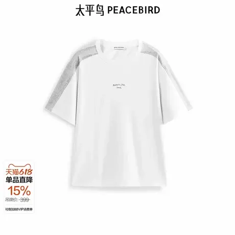 【商场同款】太平鸟男装休闲T恤重磅刺绣T恤宽松休闲TB1CNF2320图片