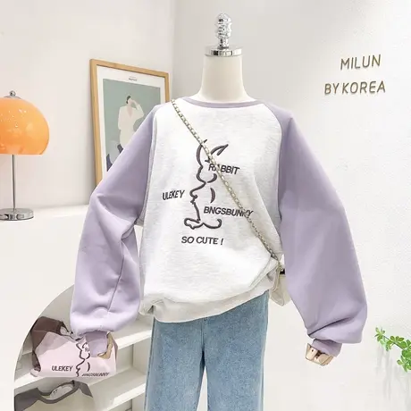 2023春秋新款上衣韩国东大门ins复古刺绣兔子撞色卫衣设计感大码商品大图